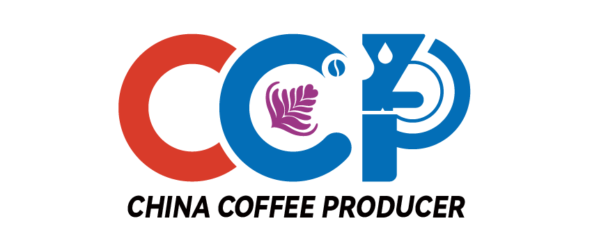 CCP 证书示意图