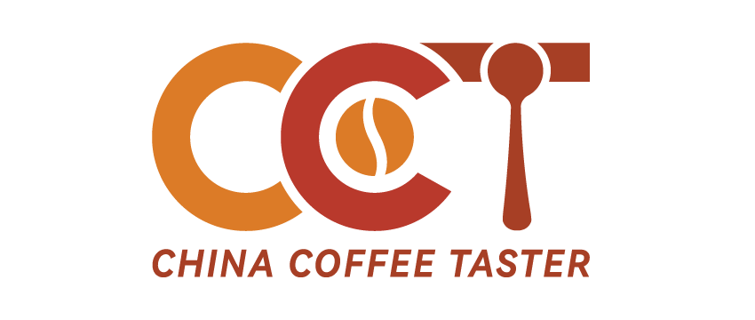 CCT 证书示意图
