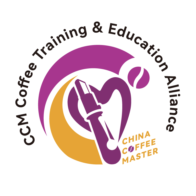 CCM联盟介绍